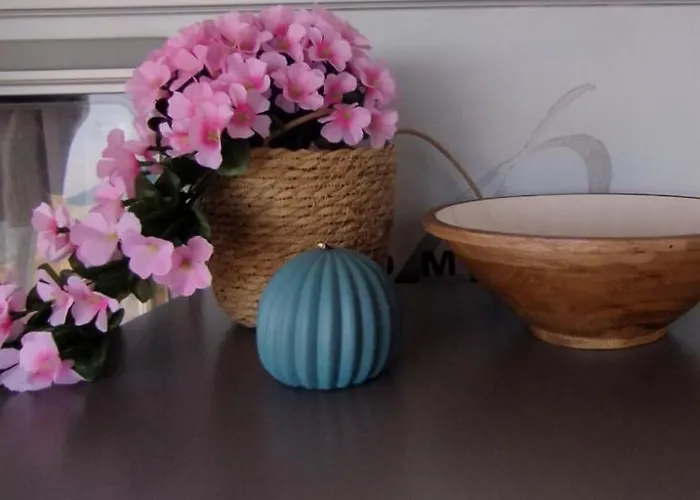 キャンプ場 Caravana The Black Pearl バルチク