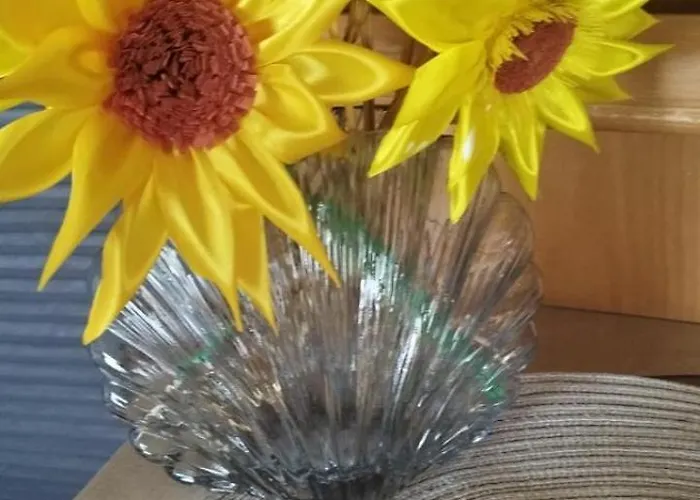 Caravana The Black Pearl キャンプ場 バルチク